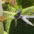 Business 2 image APEX TREE SERVICES in Kansas City MO