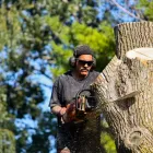 Business 4 image APPLE'S TREE COMPANY Tree Service in Apple Valley CA