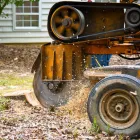 Business 1 image APPLE'S TREE COMPANY Tree Service in Apple Valley CA