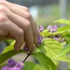 Business 8 image APPLE VALLEY ECO-LANDSCAPES Sustainable Landscaping in Oklahoma City OK