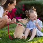 Business 10 image APTIVE ENVIRONMENTAL Pest Control in Tukwila WA