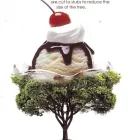 Business 5 image ARAPAHOE TREE SURGEON Tree Removal Service in Tucson AZ