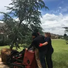 Business 4 image ARBOR IMAGE TREE CARE Landscape Contractors in Oklahoma City OK