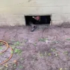 Business 2 image ARC TERMITE AND PEST CONTROL LLC in Riverview FL