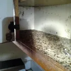 Business 5 image ARC TERMITE AND PEST CONTROL LLC in Riverview FL