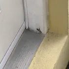 Business 8 image ARC TERMITE AND PEST CONTROL LLC in Riverview FL