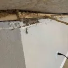 Business 11 image ARC TERMITE AND PEST CONTROL LLC in Riverview FL