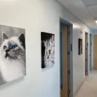 Business 2 image ARCHVET EMERGENCY HOSPITAL X Ray in San Jose CA