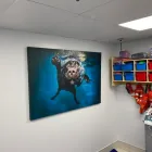 Business 7 image ARCHVET EMERGENCY HOSPITAL X Ray in San Jose CA