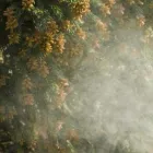 Business 1 image ARGUS ENVIRONMENTAL CONSULTANTS LLC. Mold Testing & Removal in San Antonio TX