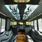 Business 6 image ARIES CHARTER TRANSPORTATION Wedding Supplies & Services in Chicago IL
