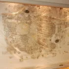 Business 1 image ARIZONA MOLD Water Damage Restoration in Tucson AZ