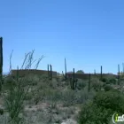 Business 1 image ARIZONA-SONORA DESERT MUSEUM Tourist Information Attractions in Tucson AZ