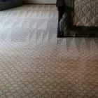 Business 1 image ARLINGTON CARPET CLEANING TX Upholstery Cleaners in Arlington TX