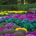 Business 2 image ARREOLA'S COMPLETE LANDSCAPE SERVICE Weed Control Service in Sacramento CA