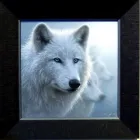 Business 5 image ART GALLERY OF THE ROCKIES Picture Framing in Colorado Springs CO