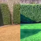 Business 1 image AUSTIN LAWN PAINTERS Landscaping & Lawn Services in Austin TX