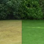 Business 3 image AUSTIN LAWN PAINTERS Landscaping & Lawn Services in Austin TX
