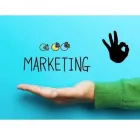 Business 2 image AYOKAY Web Design & Development in Indianapolis IN