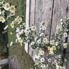 Business 16 image AZTEC WELDING, FABRICATION & RESTORATION Utilities in Indianapolis IN