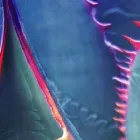 Business 5 image B & B CACTUS FARM Plant Nurseries & Garden Centers in Tucson AZ