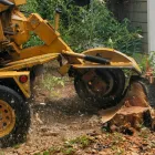 Business 3 image B'S QUALITY TREE SERVICE Tree Service in Saint Petersburg FL
