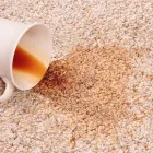 Business 2 image B1 CARPET CLEANING Carpet Cleaning Equipment Rental in Oklahoma City OK