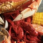 Business 1 image BACKYARD BAYOU in San Jose CA