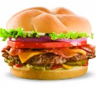 Business 4 image BACKYARD BURGERS Take Out Restaurants in Lexington KY