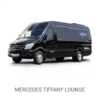 Business 3 image BAJA LIMO Travel Agency in Sacramento CA