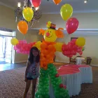 Business 1 image BALLOONATICS Party Supply Rental in Campbell CA
