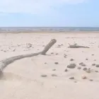 Business 3 image BALTIC PROUD Jewelers & Jewelry Stores in Houston TX