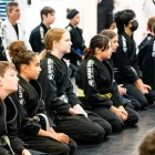 Business 12 image BAM BAM MARTIAL ARTS HOUSTON in Houston TX