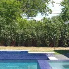 Business 3 image BAMBOO YOUR PRIVACY Landscape Architects & Designers in Austin TX
