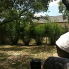 Business 6 image BAMBOO YOUR PRIVACY Landscape Architects & Designers in Austin TX