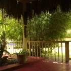 Business 11 image BAMBOO YOUR PRIVACY Landscape Architects & Designers in Austin TX