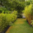 Business 12 image BAMBOO YOUR PRIVACY Landscape Architects & Designers in Austin TX