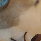 Business 3 image BANE CLENE SYSTEMS Cleaning Services in Indianapolis IN