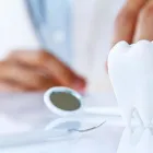 Business 1 image BANKS DENTAL GROUP: CHRISTOPHER BANKS, DMD in Chicago IL