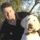 Business 1 image BARK BUSTERS HOME DOG TRAINING Dog Training in Tucson AZ