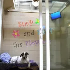 Business 5 image BARKEFELLERS Pet Training in Indianapolis IN