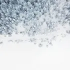 Business 3 image BATTLE IT ALL Yard Cleaning in Baltimore MD