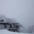 Business 4 image BATTLE IT ALL Yard Cleaning in Baltimore MD