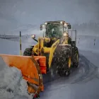 Business 5 image BATTLE IT ALL Yard Cleaning in Baltimore MD