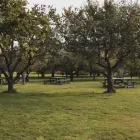 Business 6 image BATTLE IT ALL Yard Cleaning in Baltimore MD