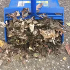 Business 14 image BATTLE IT ALL Yard Cleaning in Baltimore MD