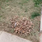 Business 17 image BATTLE IT ALL Yard Cleaning in Baltimore MD