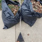 Business 22 image BATTLE IT ALL Yard Cleaning in Baltimore MD