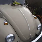 Business 13 image BAY AREA AUTO DETAILING Auto Detailing Service in San Francisco CA