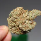 Business 6 image BAYQUEEN DELIVERY Weed Delivery in Oakland CA